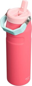 Stanley IceFlow Flip Straw 2.0 Water Bottle 24 oz