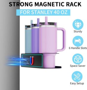 Nardo Visgo Water Bottle Organizer